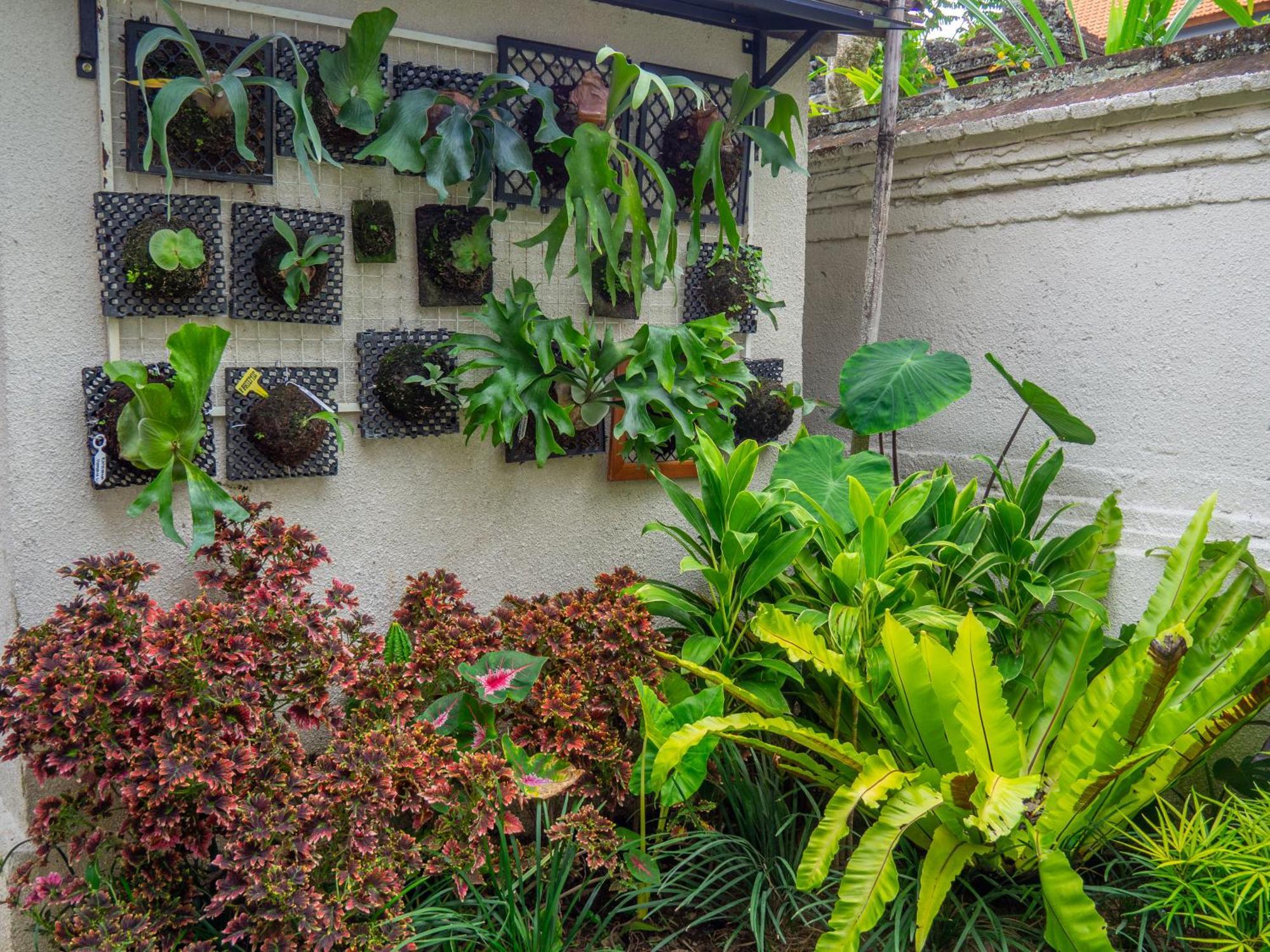 Arumasta Ubud Zewnętrze zdjęcie